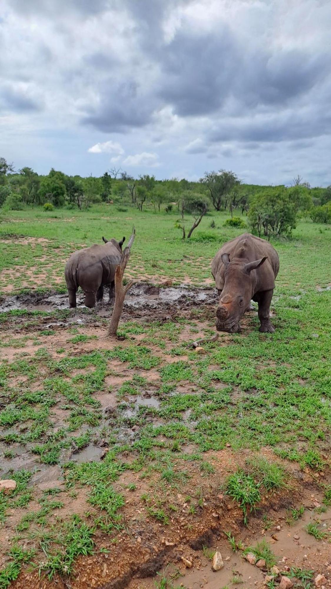 Mjejane River Lodge Hectorspruit Экстерьер фото